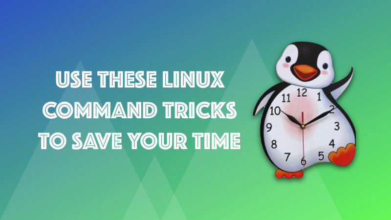 Linux Shell Tips for Increasing Productivity